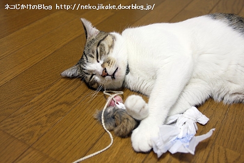 遊び疲れた・・・。