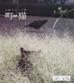 公開グループ展「町猫2011」チラシ画像
