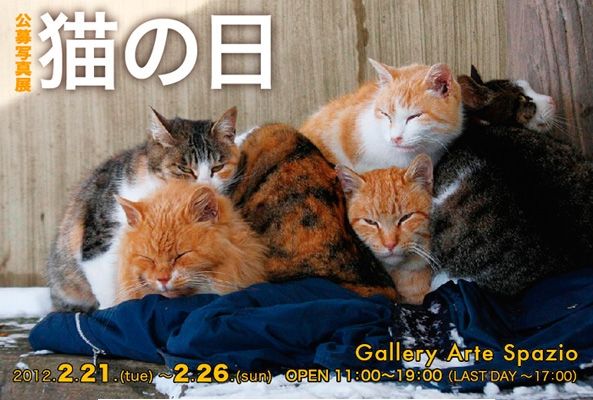 公募写真展「猫の日」DM1