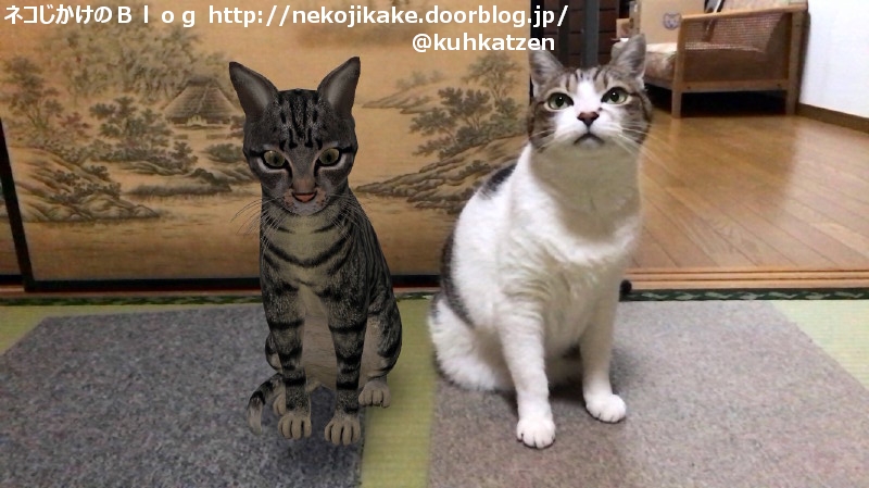 2020011104「ねこ」をググれ。3