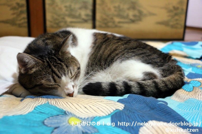 2020061702早く寝ろよ。2