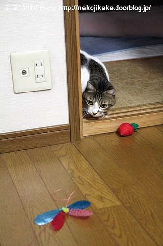 ロックオン!