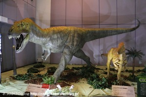 2017073007メガ恐竜展201@ 大阪南港ATCホール。5
