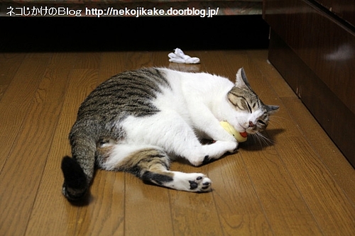 愛おしく。