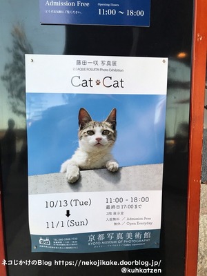 2020102514写真展「fractale」・「Cat・Cat」@京都写真美術館_ギ2