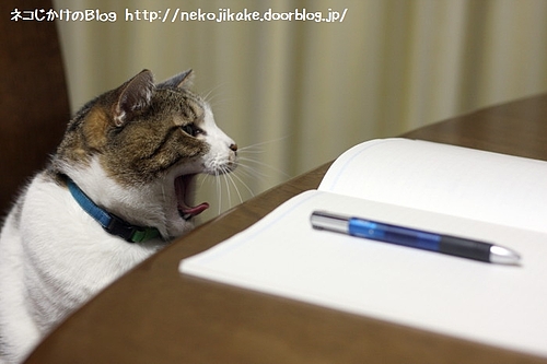 勉強しまっせ?