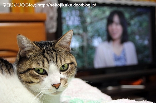 もちろんメインはボクだろうね?
