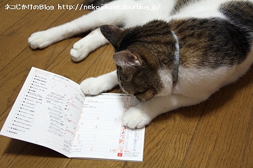 猫ふん2011スタンプラリー制覇しました。
