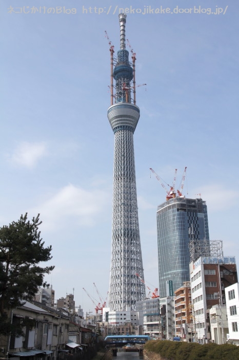 東京スカイツリー。