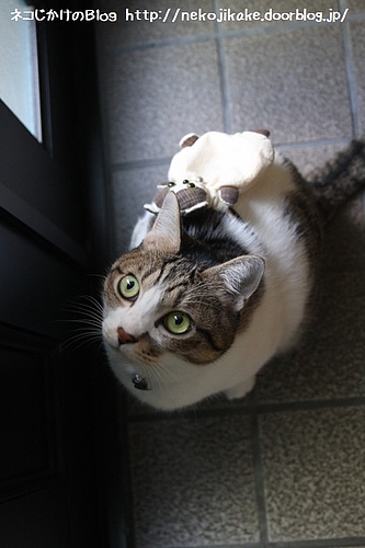 早くここを開けろ!
