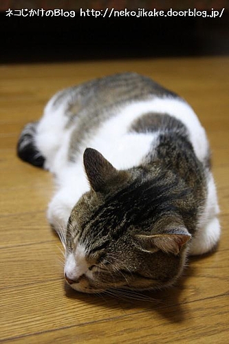 寝る。
