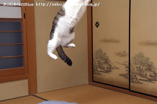 こんなにジャンプするとは・・・。