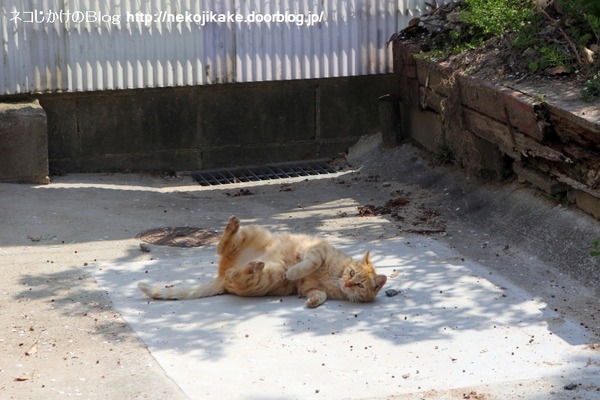 2014040802ȥ餬ž벼ꡣ