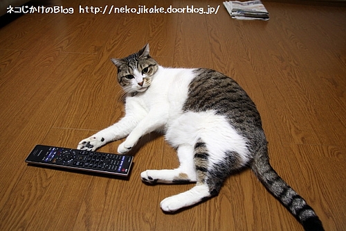 寝転んでテレビを見ちゃだめ。