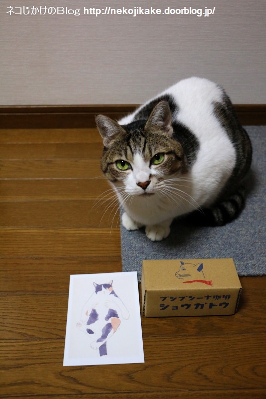 2015102601¥¢¥ê¥¬¥È¥¦¡£