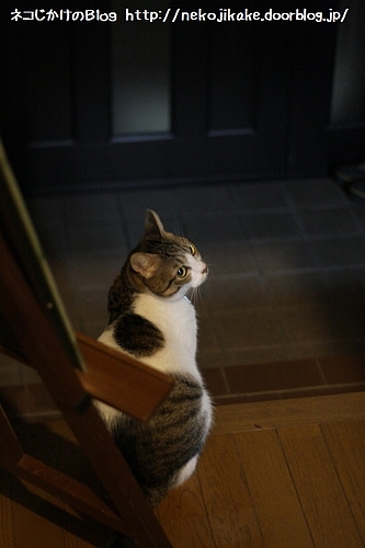 出待ち。