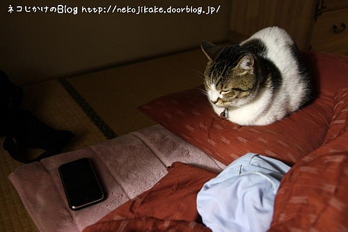 そこで寝るなよ。