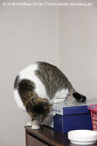 ブートストラップ。
