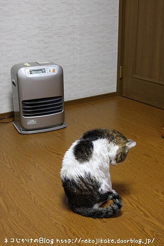 えらい目にあった。