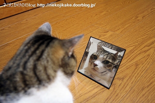 あんたは誰だ?
