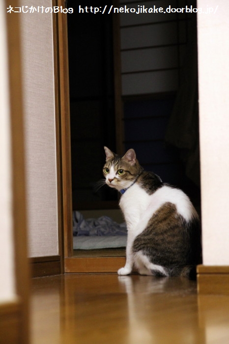 この先には・・・。