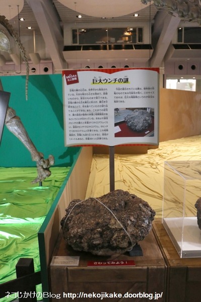 2017073026メガ恐竜展201@ 大阪南港ATCホール。24
