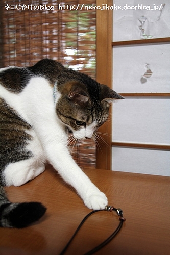 こんなものがあるのだが・・・。