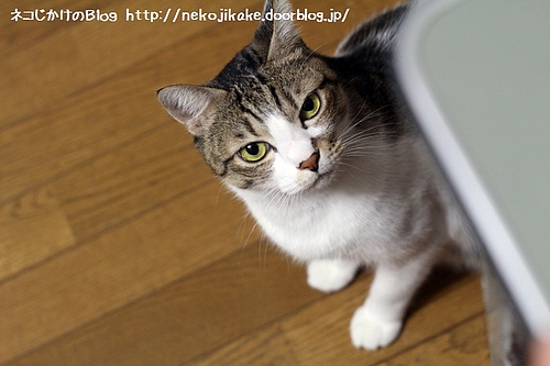 何をしているんだ?