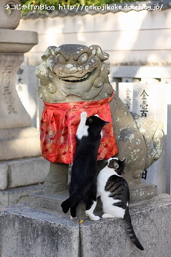 お前らええ加減にせえよ!