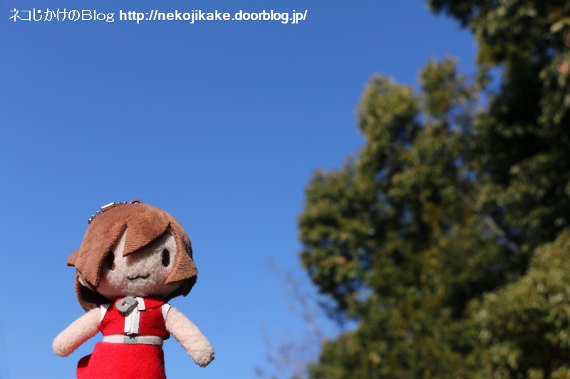 2019020504赤と青。