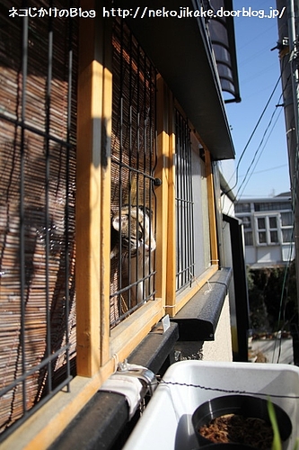 欲しいもの。