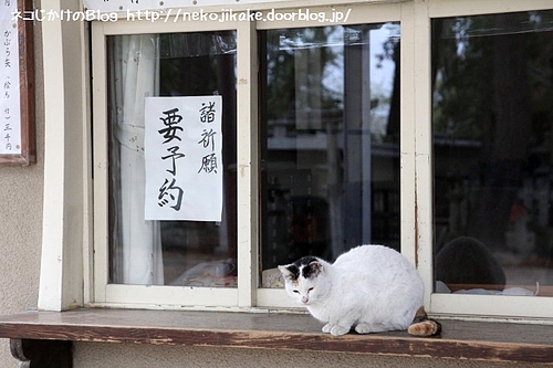 霊験あらたかなるぞ。