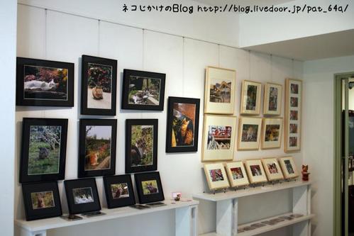 猫写真展を巡る。その2 写真展示1(みけさま)