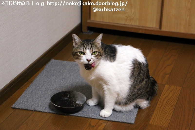 2020051205おかわりが欲しい。