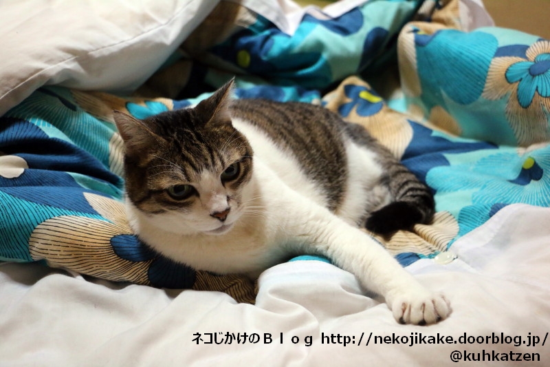 2020053101手を。