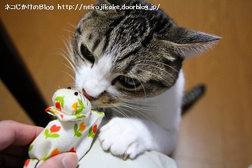おもちゃに興味津々。