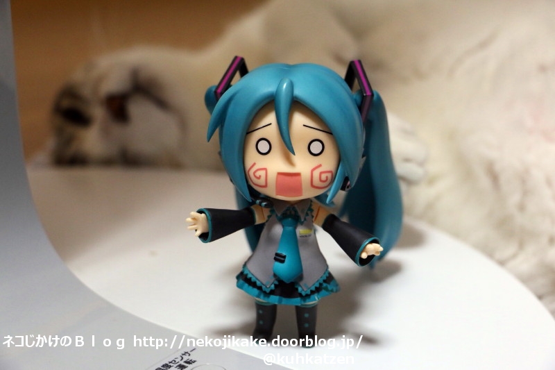 2020062706ミクちゃん、うしろうしろ!1