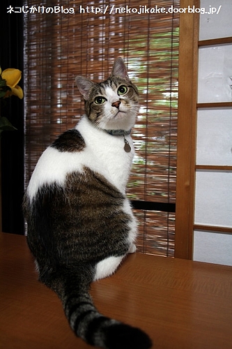 今日もご苦労さん!