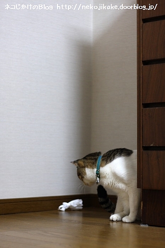そんなところで何をしているんだい?