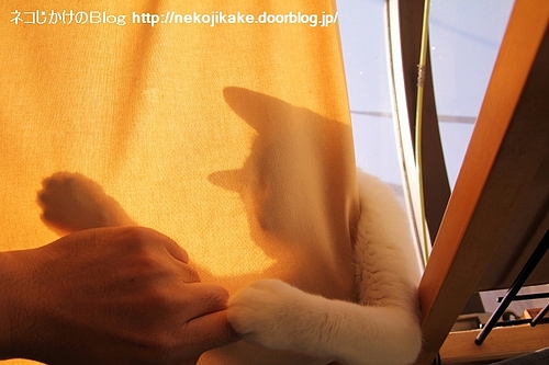 シルエットクイズ2、この人は・・・一部出てしまってますが。
