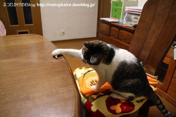 2014120702自分のプレイをするだけです。