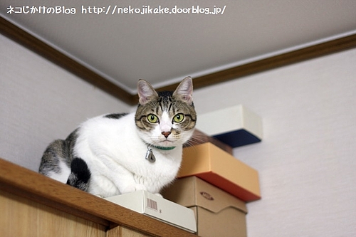 うれしくない?