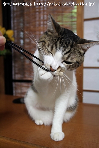もう離さへん。