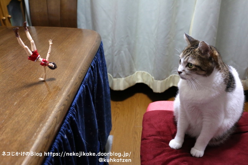 逆立ちはできないな ネコじかけのblog 逆立ちはできないな ネコじかけのblog