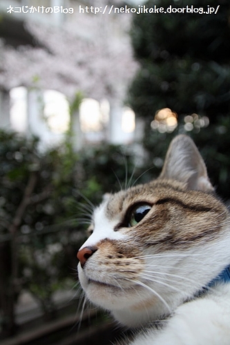 クリアになった?