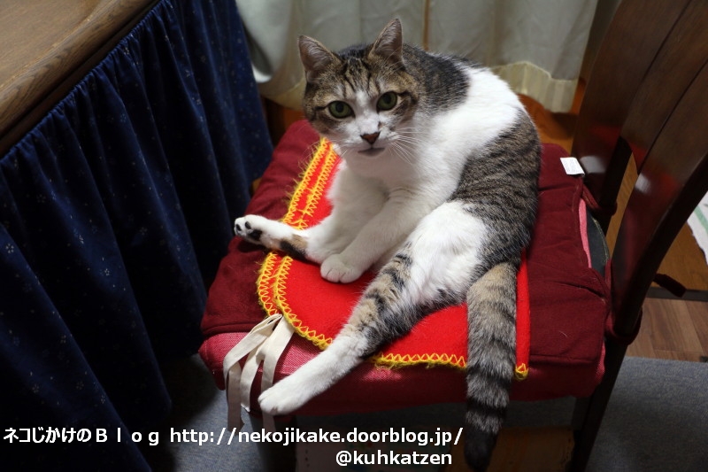 2020050905はい、何か用?
