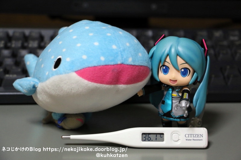 2021032502大きな魚が好きですか?1