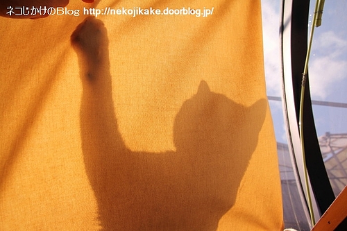 シルエットクイズ1、この人は誰?