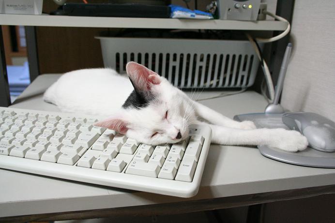趣味はPCです。クロ