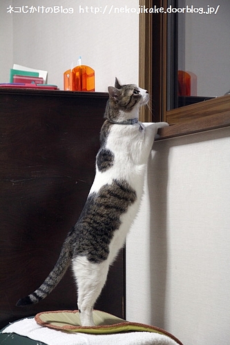 早く開けて。